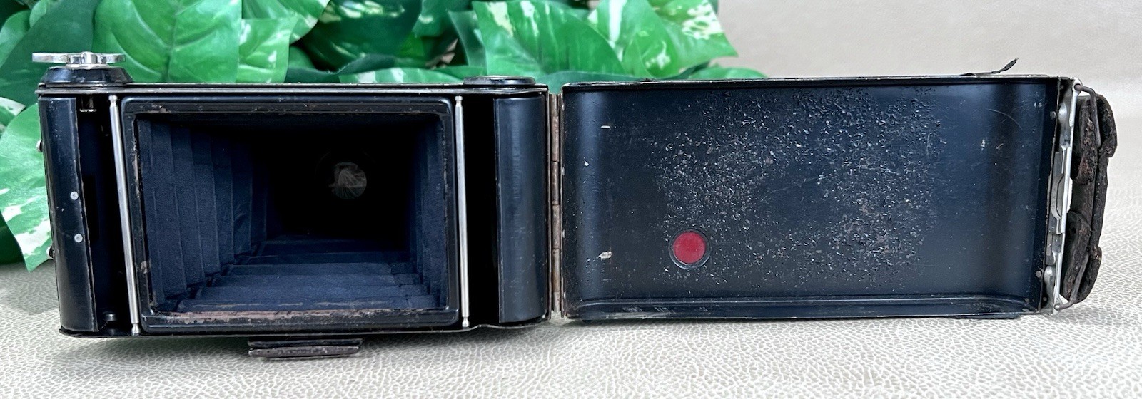 Welta Symbol Folding Camera W/ Weltar Anastigmat 1:7.7 Singlo – Parts or Display