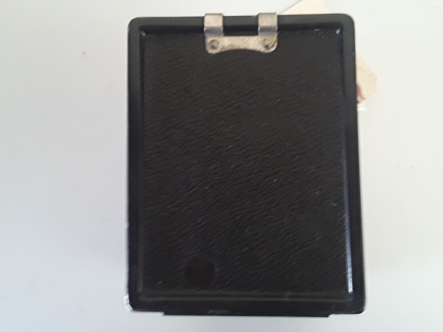 1938 Bear Photo Special Service 6X9 Metal Box Camera Golden Bear Art Deco Ansco